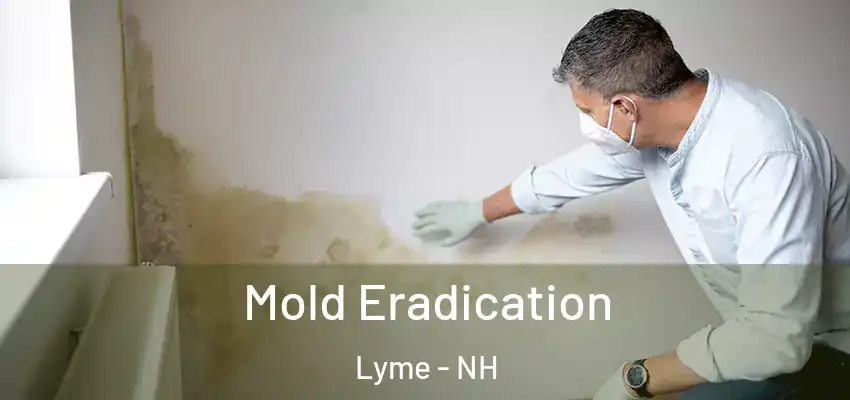  Mold Eradication Lyme - NH