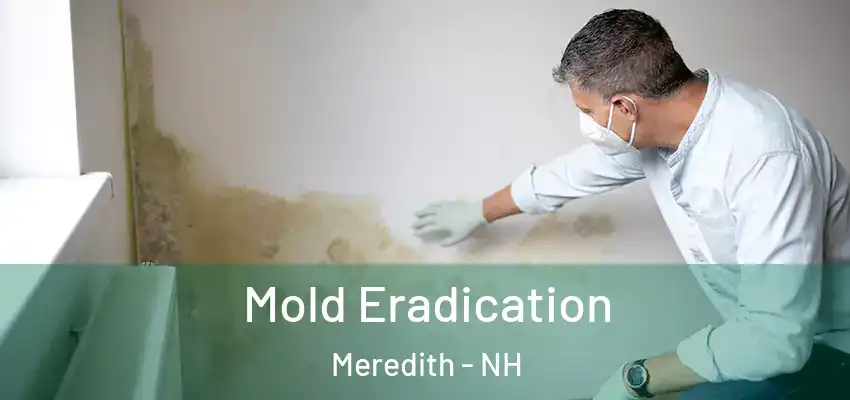  Mold Eradication Meredith - NH