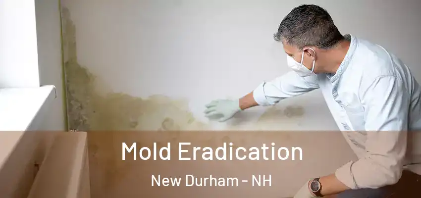  Mold Eradication New Durham - NH