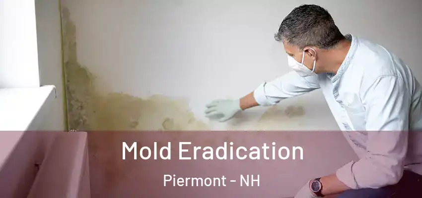  Mold Eradication Piermont - NH