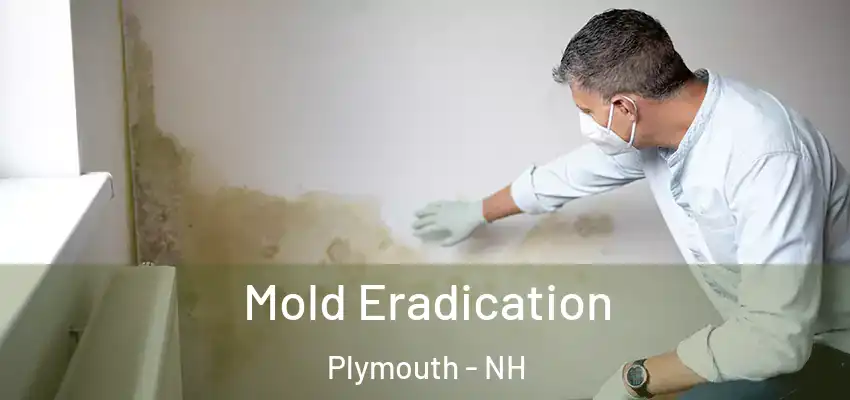  Mold Eradication Plymouth - NH