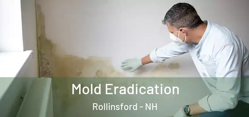 Mold Eradication Rollinsford - NH