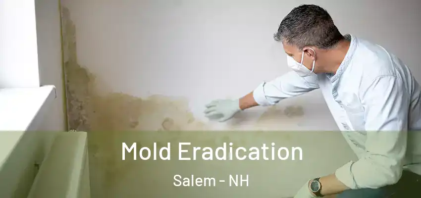  Mold Eradication Salem - NH