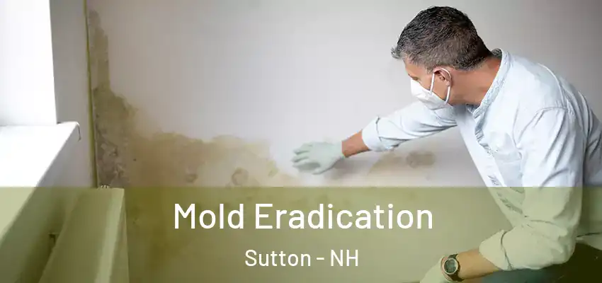 Mold Eradication Sutton - NH