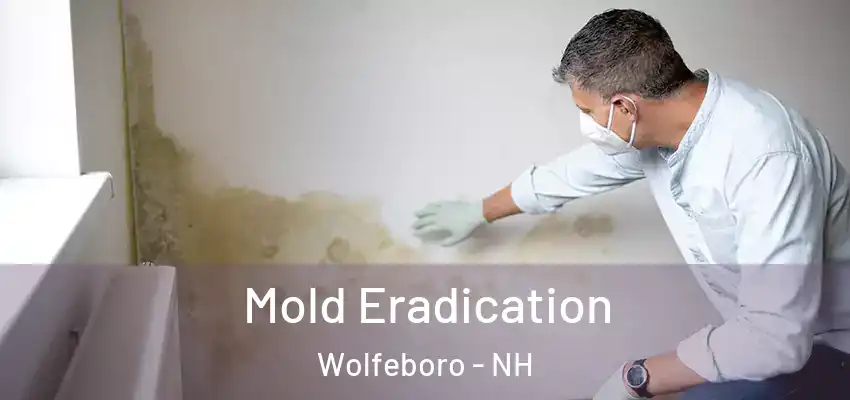 Mold Eradication Wolfeboro - NH