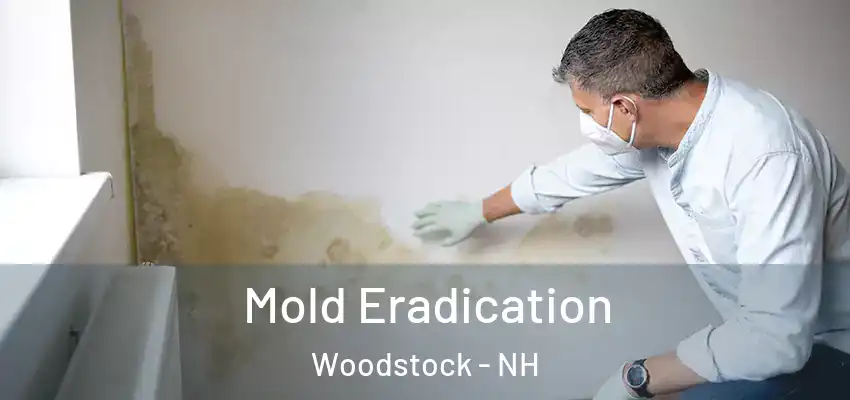  Mold Eradication Woodstock - NH