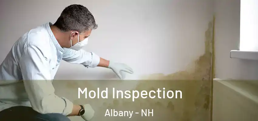  Mold Inspection Albany - NH