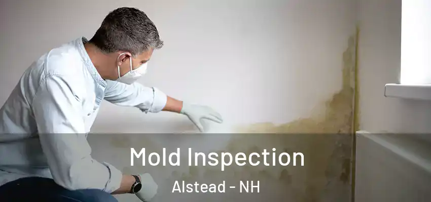  Mold Inspection Alstead - NH