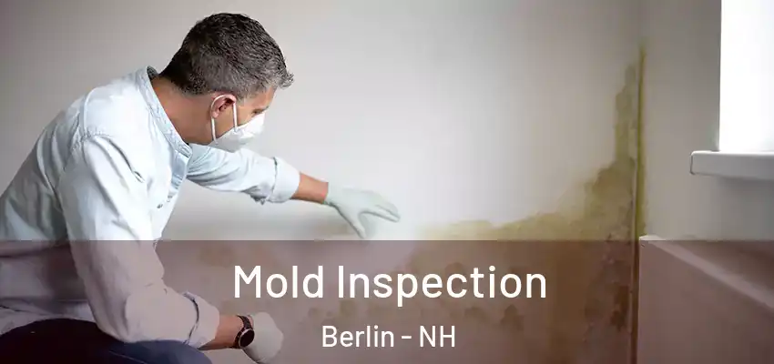  Mold Inspection Berlin - NH