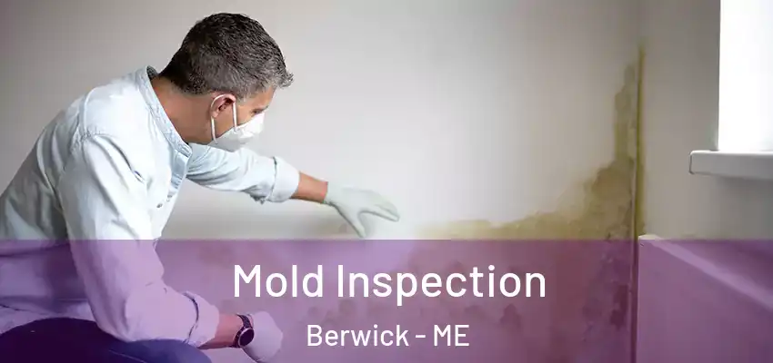  Mold Inspection Berwick - ME