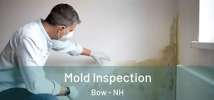  Mold Inspection Bow - NH