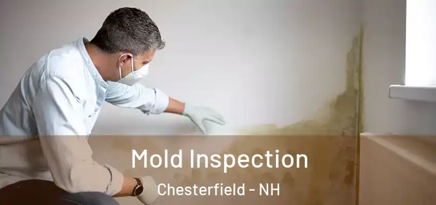  Mold Inspection Chesterfield - NH