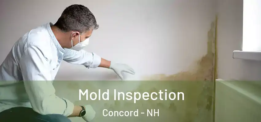  Mold Inspection Concord - NH
