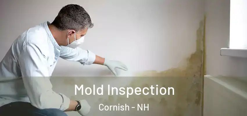  Mold Inspection Cornish - NH