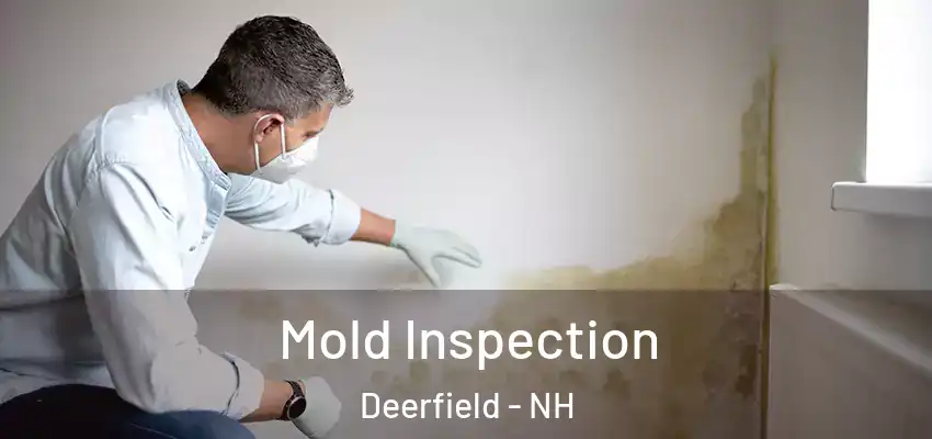  Mold Inspection Deerfield - NH