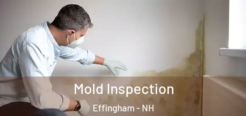 Mold Inspection Effingham - NH