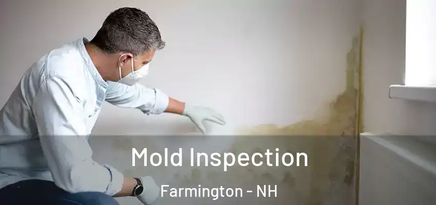  Mold Inspection Farmington - NH