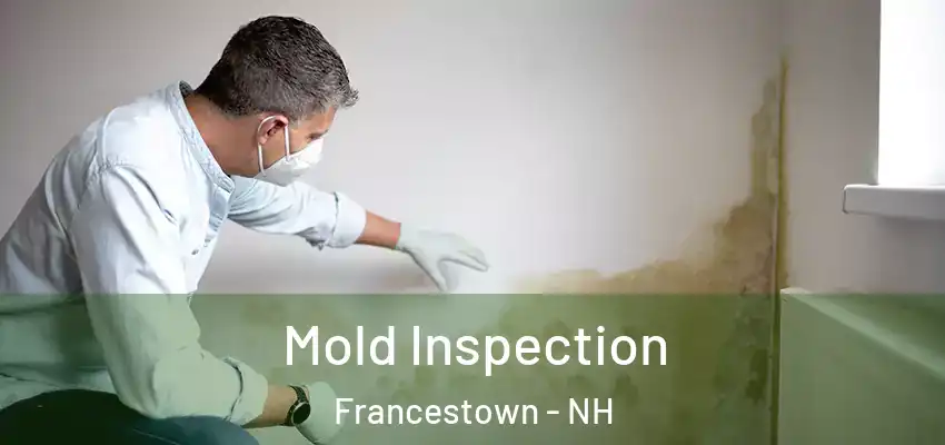  Mold Inspection Francestown - NH