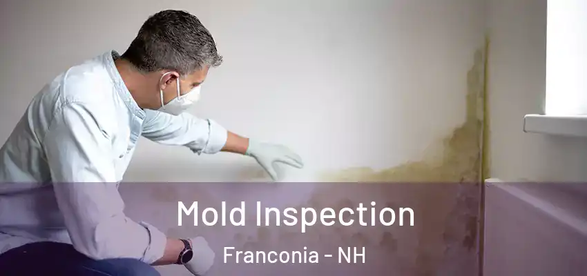  Mold Inspection Franconia - NH