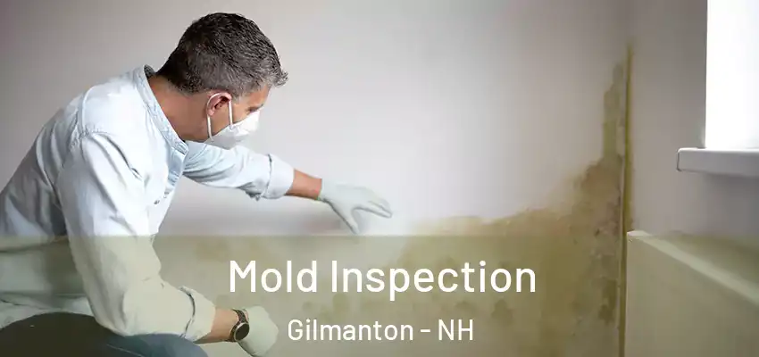 Mold Inspection Gilmanton - NH
