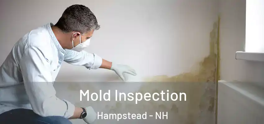 Mold Inspection Hampstead - NH