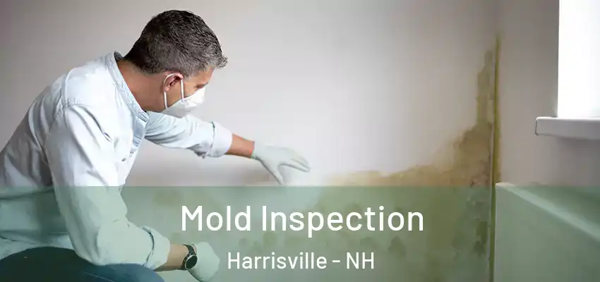  Mold Inspection Harrisville - NH