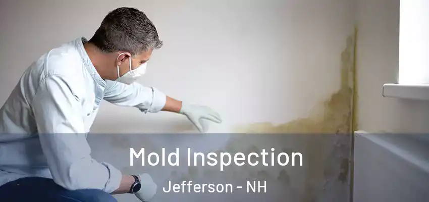  Mold Inspection Jefferson - NH