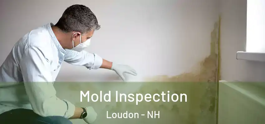 Mold Inspection Loudon - NH