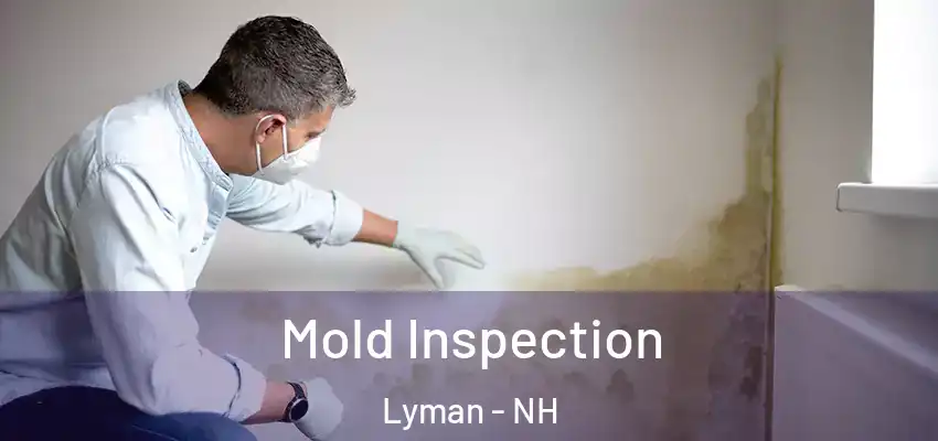  Mold Inspection Lyman - NH