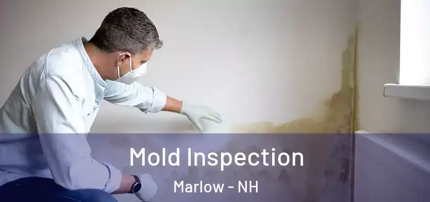 Mold Inspection Marlow - NH