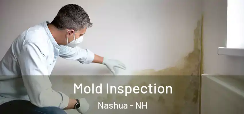 Mold Inspection Nashua - NH