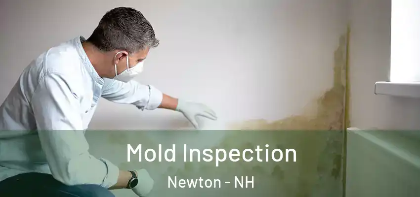  Mold Inspection Newton - NH
