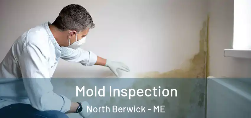 Mold Inspection North Berwick - ME