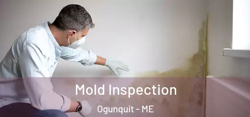 Mold Inspection Ogunquit - ME