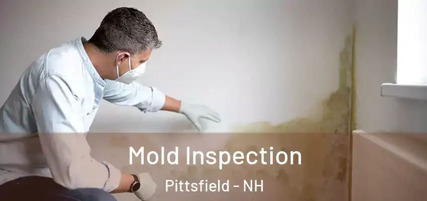  Mold Inspection Pittsfield - NH