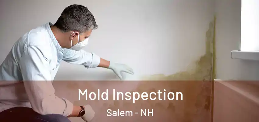 Mold Inspection Salem - NH