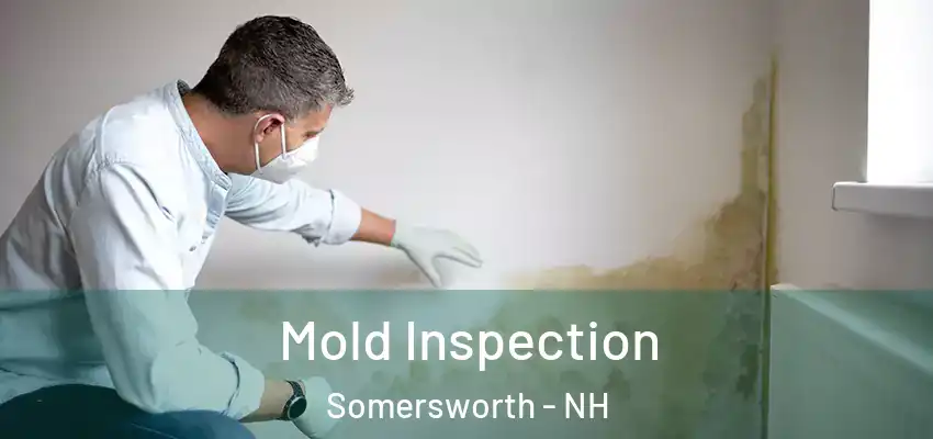  Mold Inspection Somersworth - NH