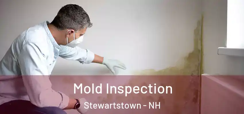  Mold Inspection Stewartstown - NH