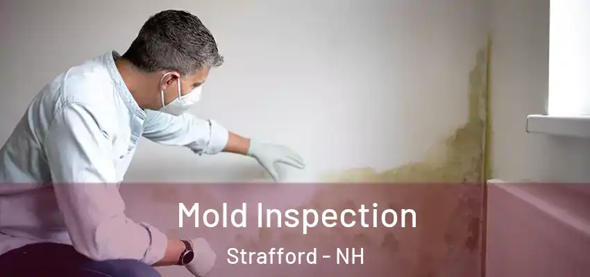 Mold Inspection Strafford - NH