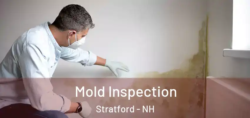  Mold Inspection Stratford - NH