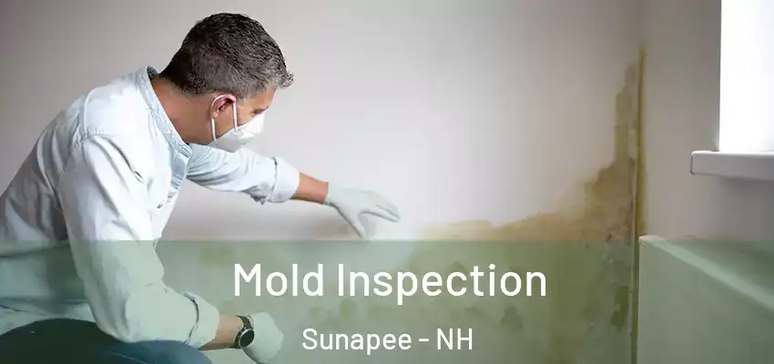 Mold Inspection Sunapee - NH