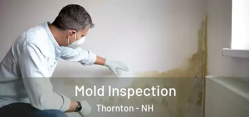 Mold Inspection Thornton - NH