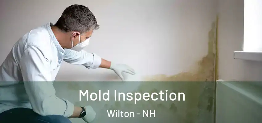 Mold Inspection Wilton - NH