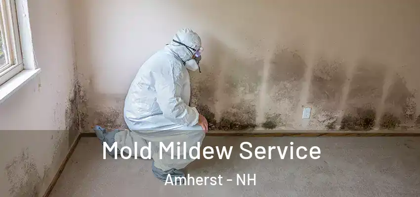  Mold Mildew Service Amherst - NH