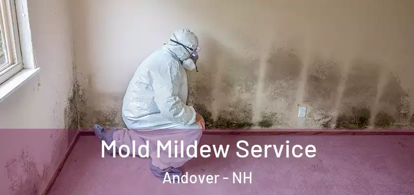  Mold Mildew Service Andover - NH