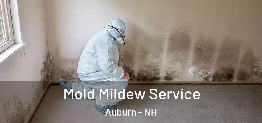  Mold Mildew Service Auburn - NH