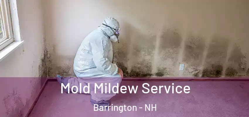 Mold Mildew Service Barrington - NH