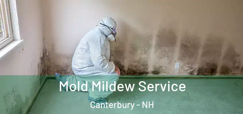  Mold Mildew Service Canterbury - NH