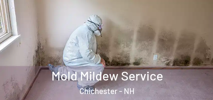  Mold Mildew Service Chichester - NH