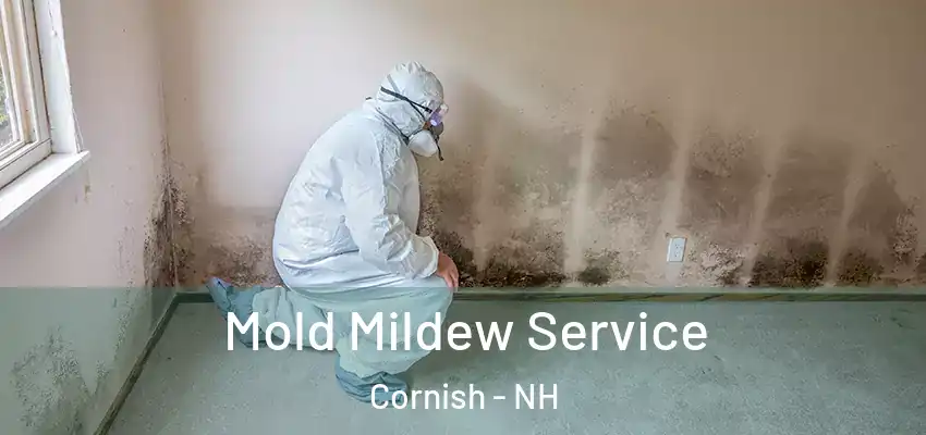  Mold Mildew Service Cornish - NH